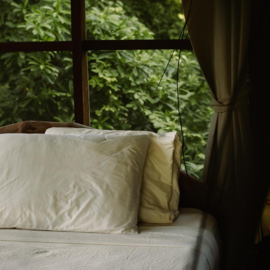 Balgue Selvista Guesthouses المظهر الخارجي الصورة