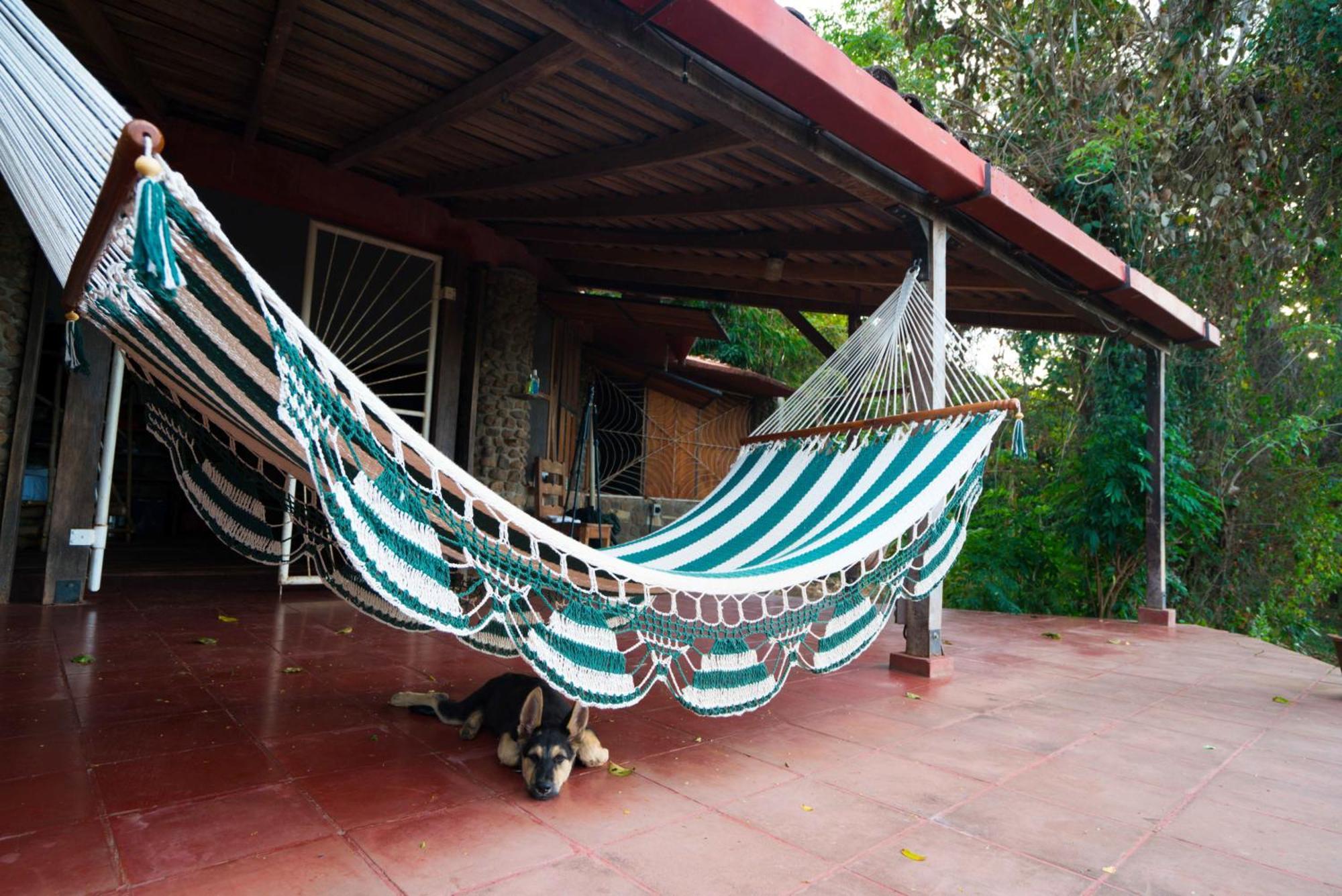 Balgue Selvista Guesthouses الغرفة الصورة